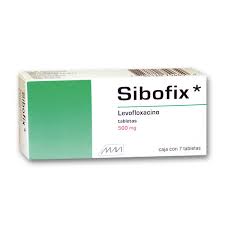 Levofloxacin 500mg 7 tabs